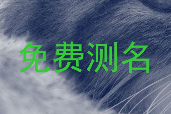 免费测名