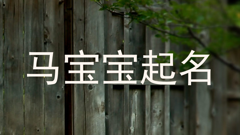 马宝宝起名
