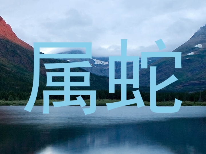 属蛇