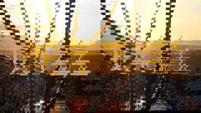 蛇年宝宝