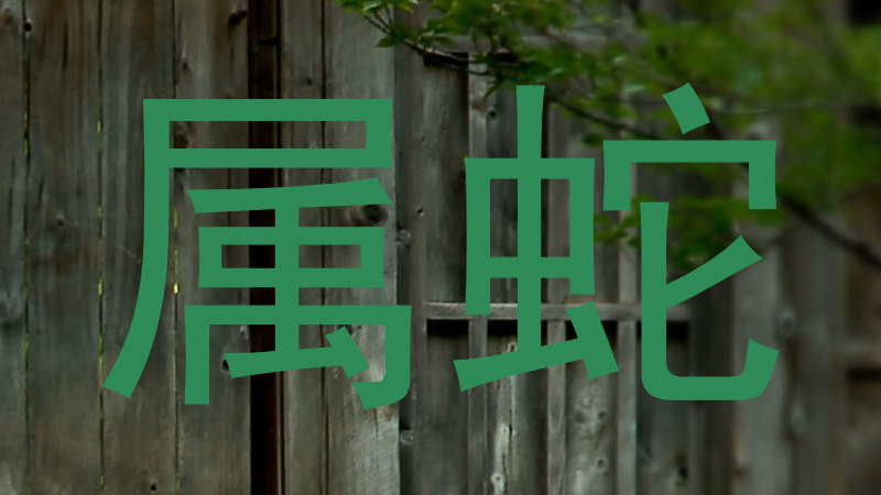 属蛇