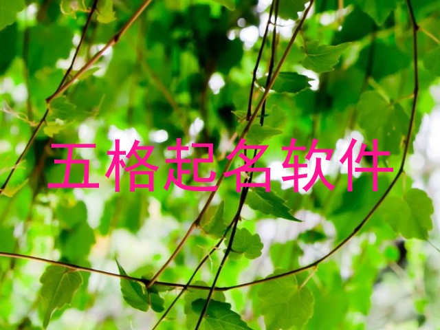 五格起名软件