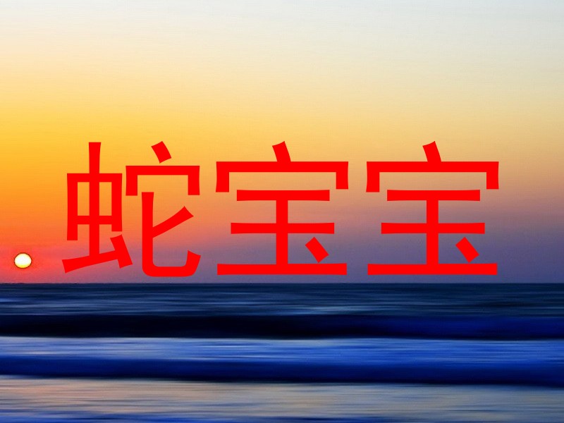 蛇宝宝