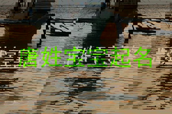 唐姓宝宝起名