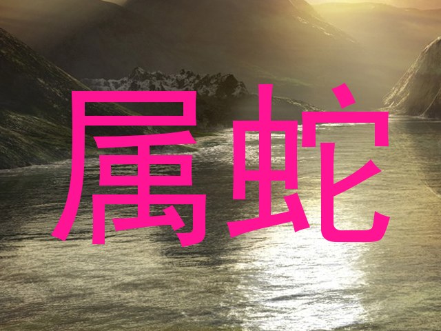 属蛇