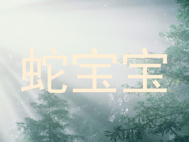 蛇宝宝