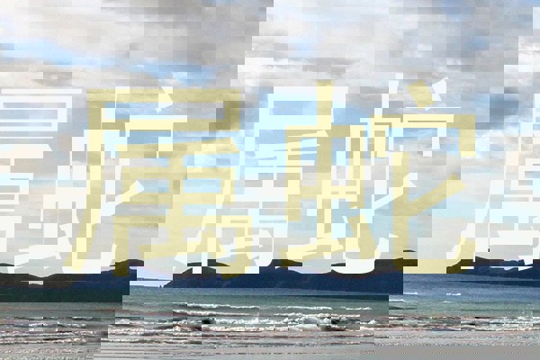 属蛇