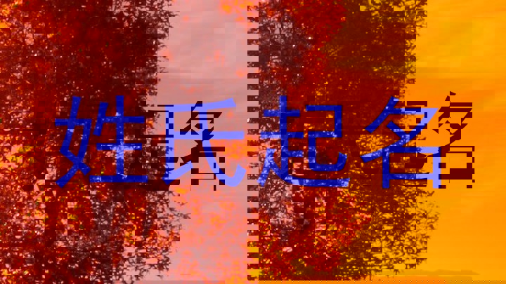 姓氏起名