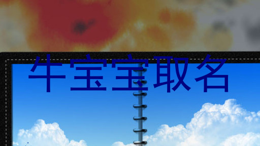 牛宝宝取名