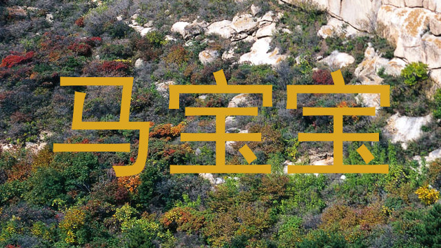 马宝宝