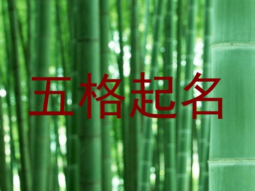 五格起名