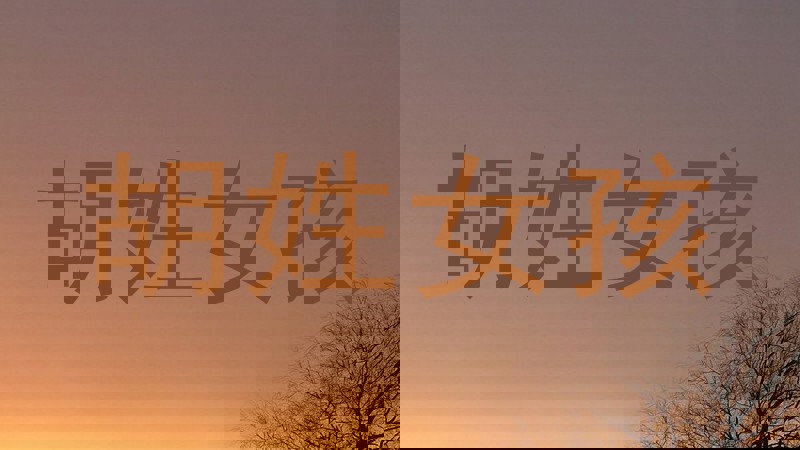 胡姓女孩