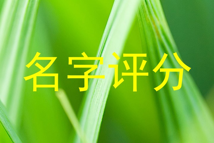 名字评分