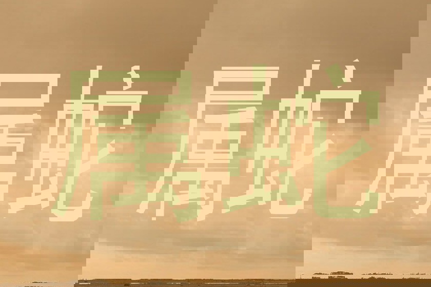 属蛇
