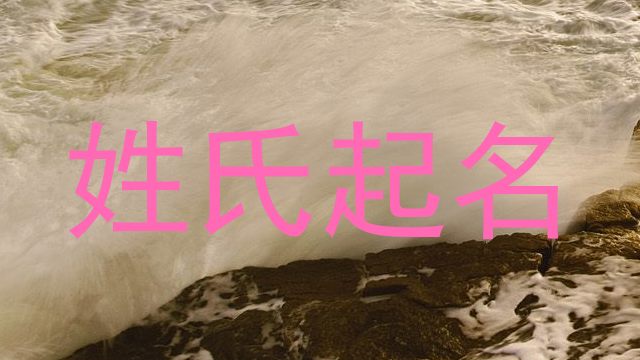 姓氏起名