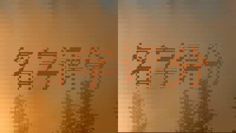 名字评分