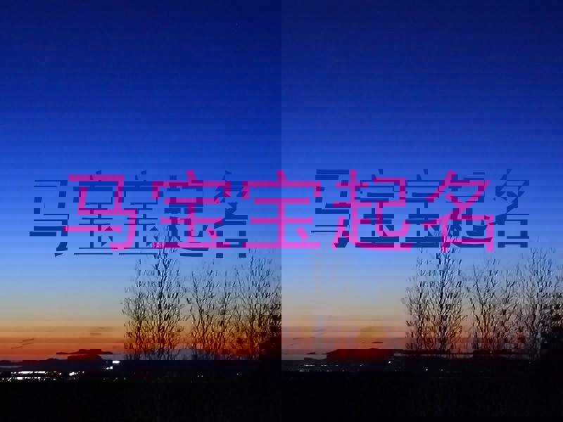 马宝宝起名