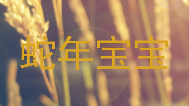 蛇年宝宝