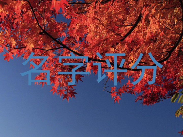 名字评分