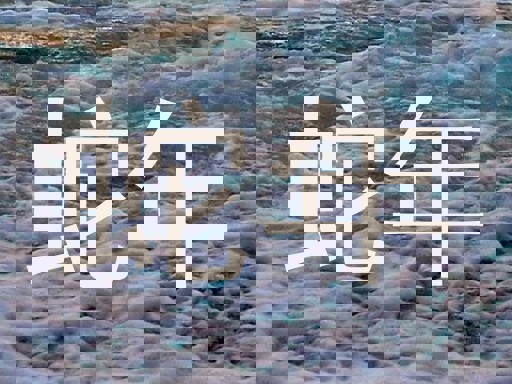 蛇年