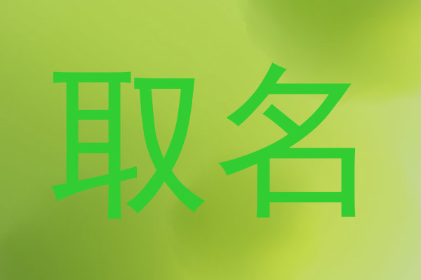 取名