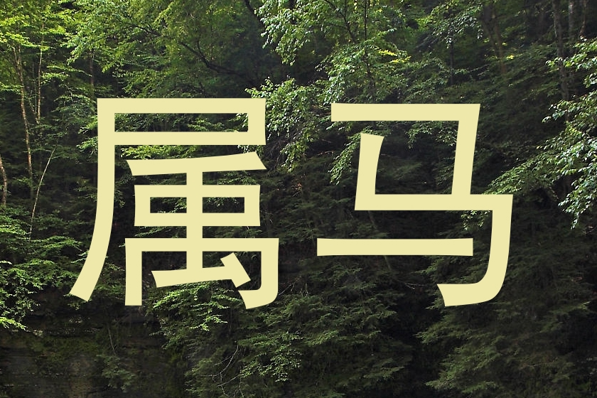 属马