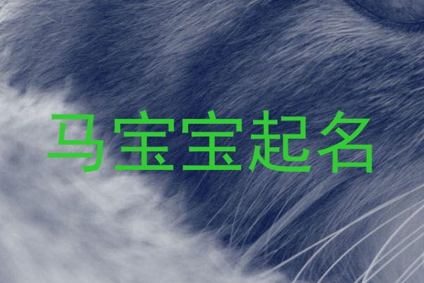 马宝宝起名