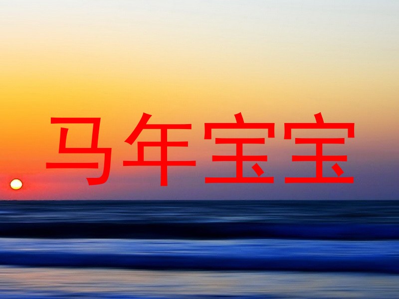 马年宝宝