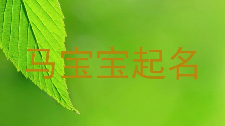 马宝宝起名