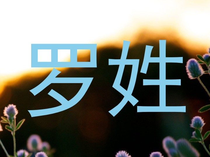 罗姓