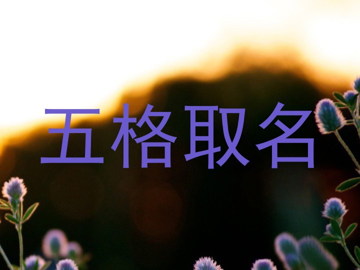 五格取名