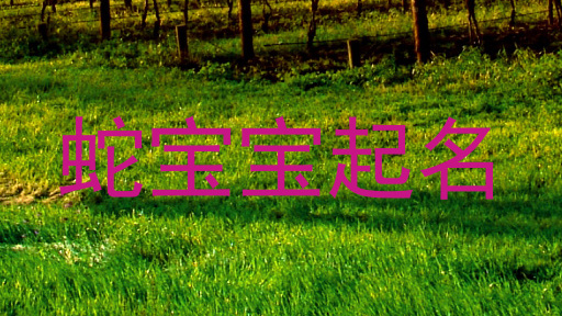蛇宝宝起名