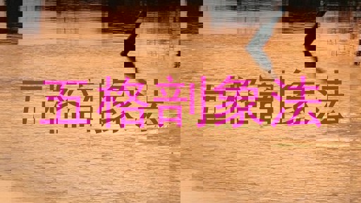 五格剖象法