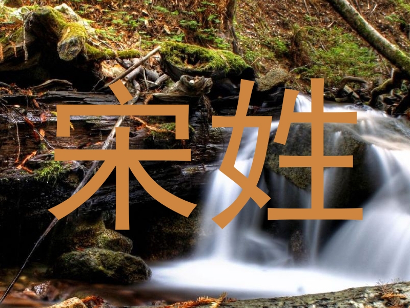 宋姓