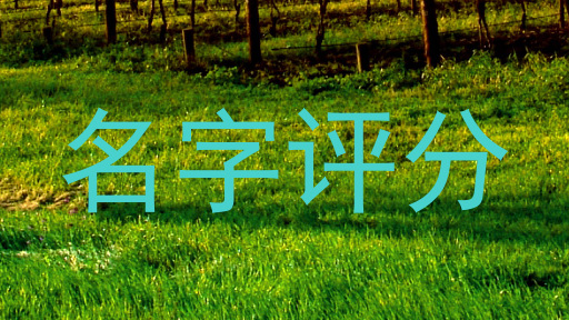 名字评分