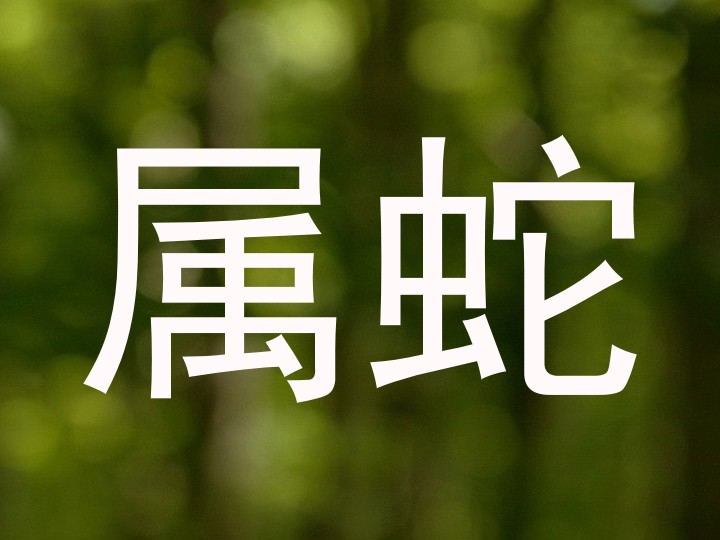 属蛇