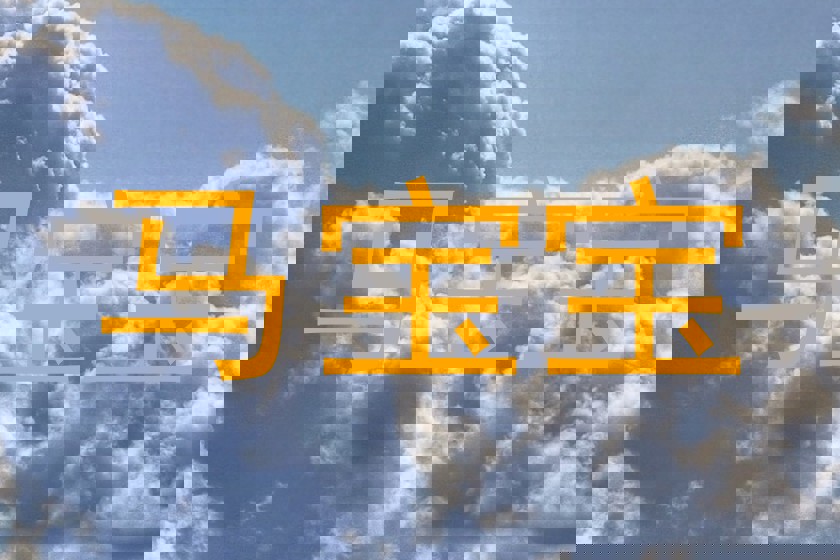 马宝宝