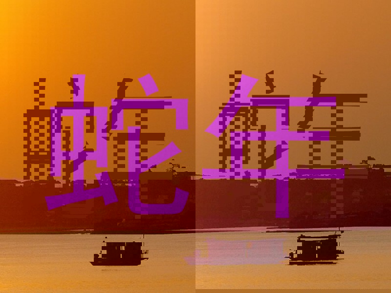 蛇年