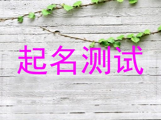 起名测试