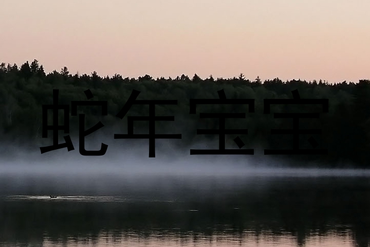 蛇年宝宝