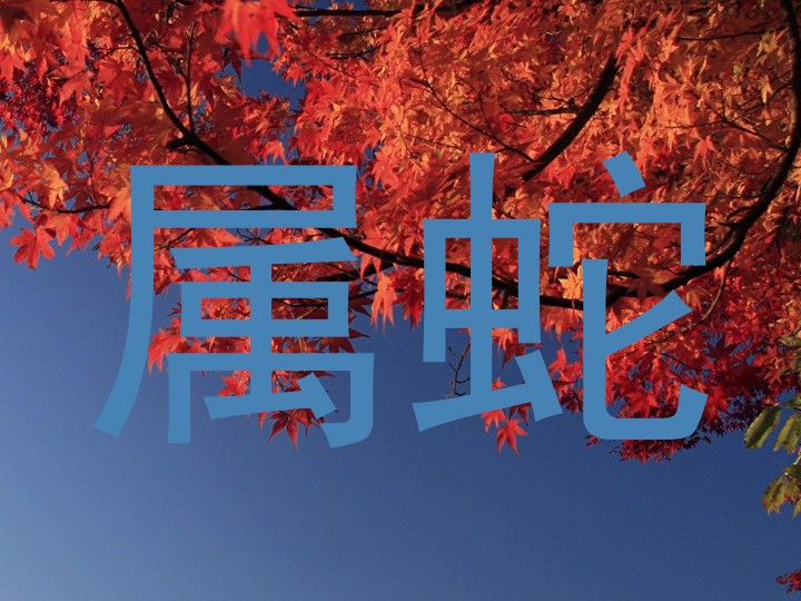 属蛇