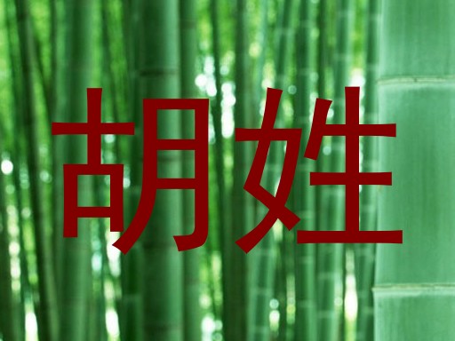 胡姓