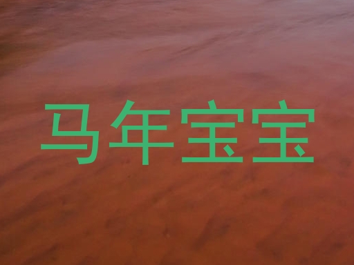 马年宝宝
