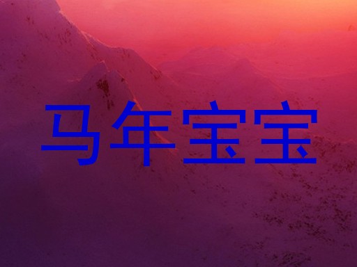 马年宝宝