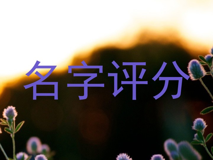 名字评分