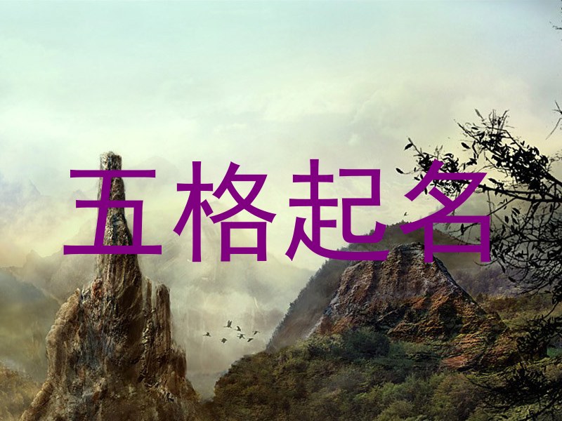 五格起名