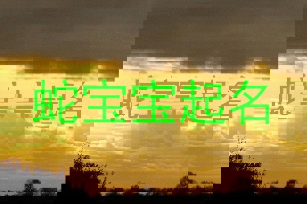 蛇宝宝起名