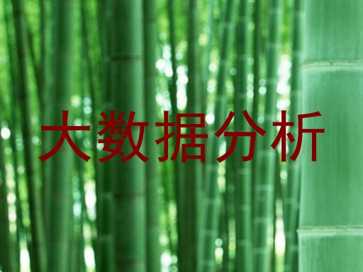 大数据分析