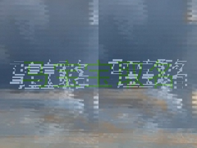 马宝宝取名