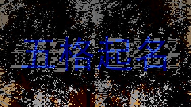 五格起名